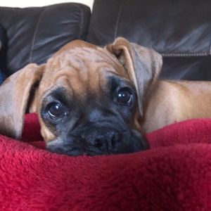 Meet your Posher, Sandra